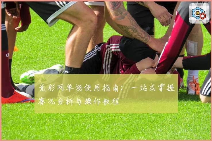 竞彩网单场使用指南：一站式掌握赛况分析与操作教程