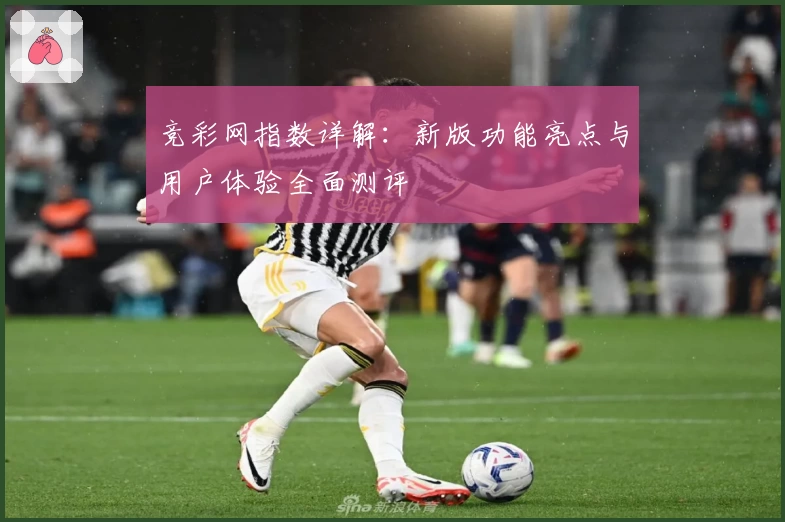 竞彩网指数详解：新版功能亮点与用户体验全面测评