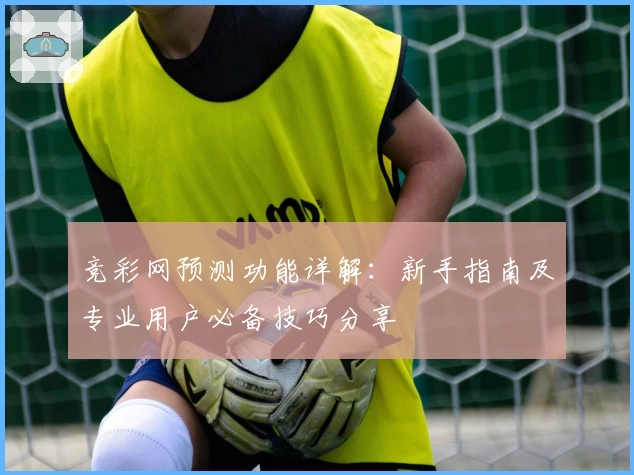 竞彩网预测功能详解：新手指南及专业用户必备技巧分享