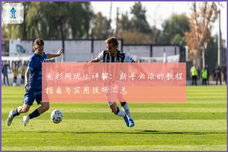 竞彩网玩法详解：新手必读的教程指南与实用技巧汇总